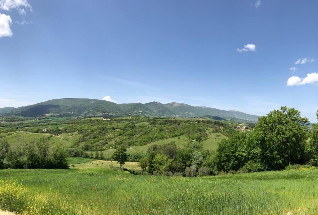 Casa Vacanze Vecchio Frantoio Residenza Leccino سبوليتو المظهر الخارجي الصورة