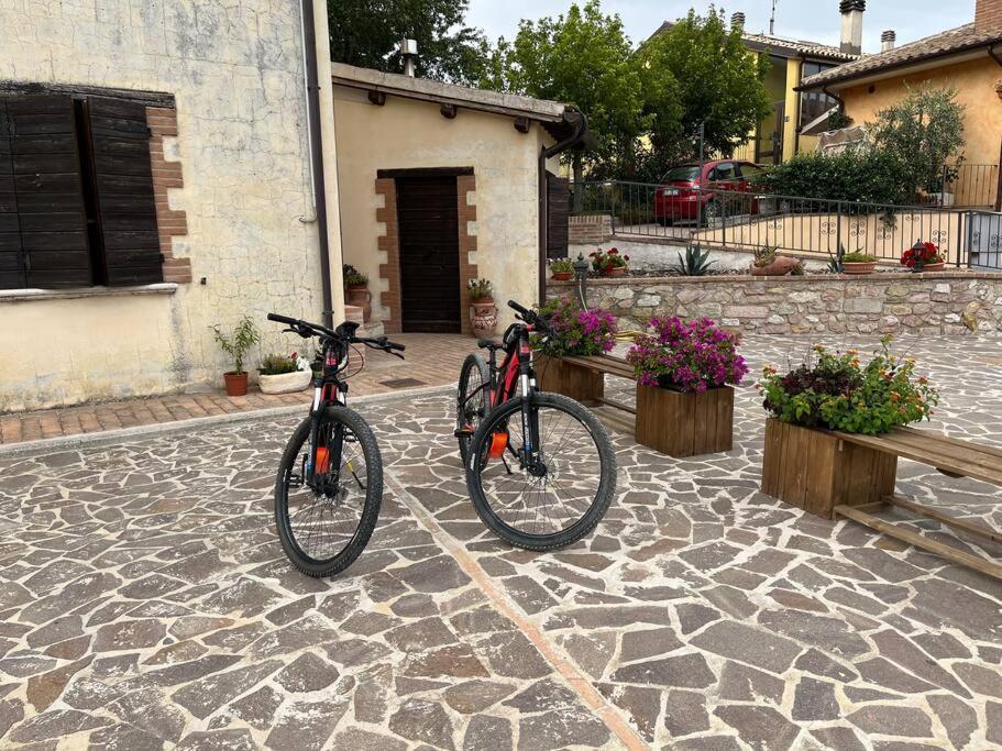 Casa Vacanze Vecchio Frantoio Residenza Leccino سبوليتو المظهر الخارجي الصورة